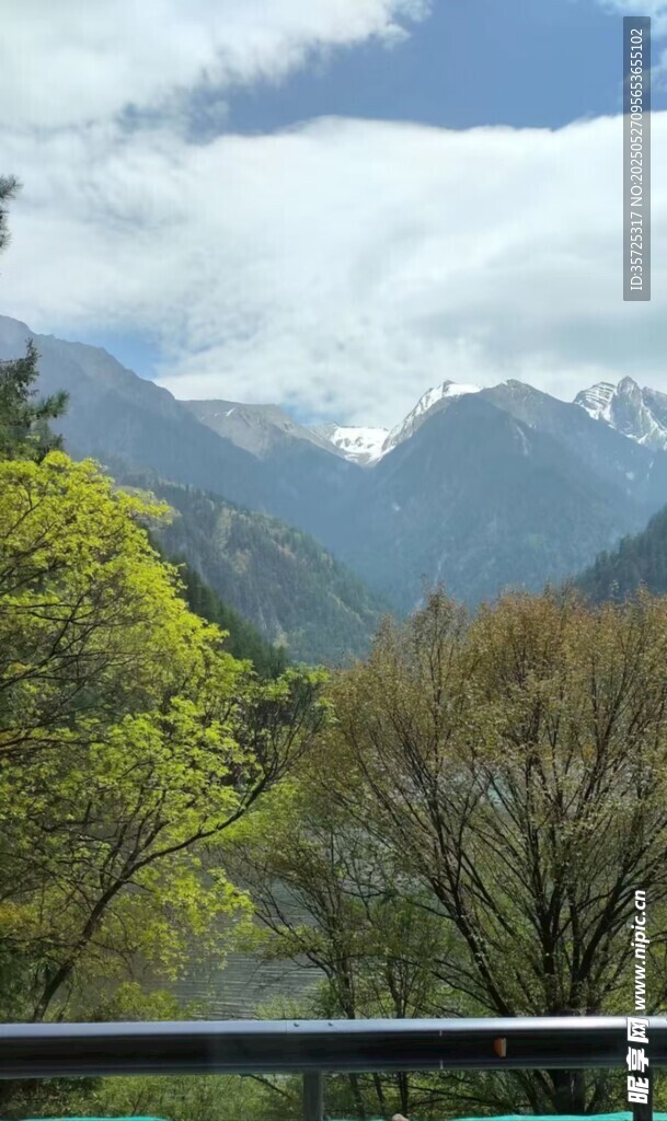 山间春景 绿树与远山