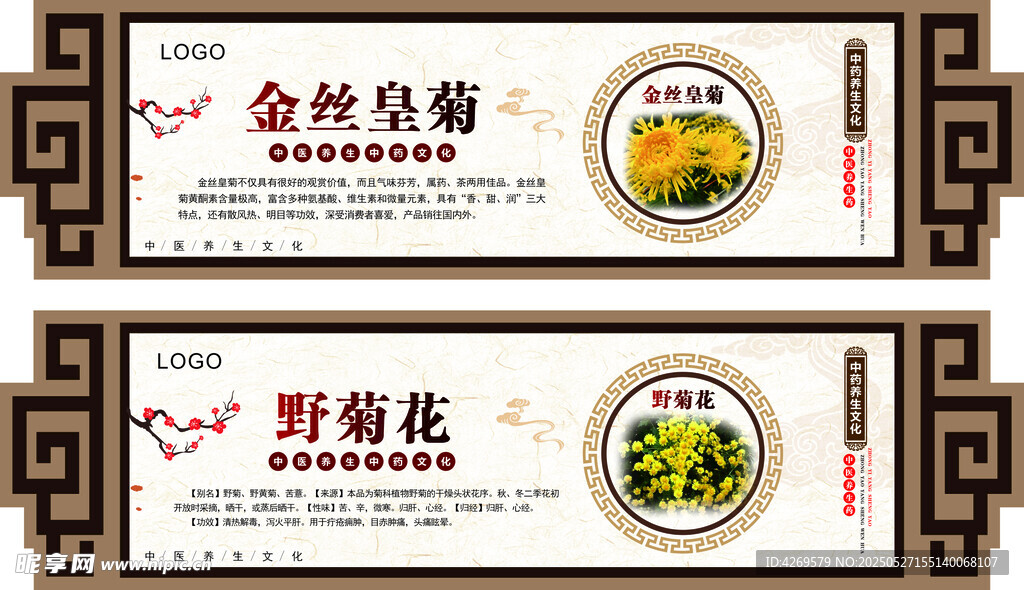 中医野菊花