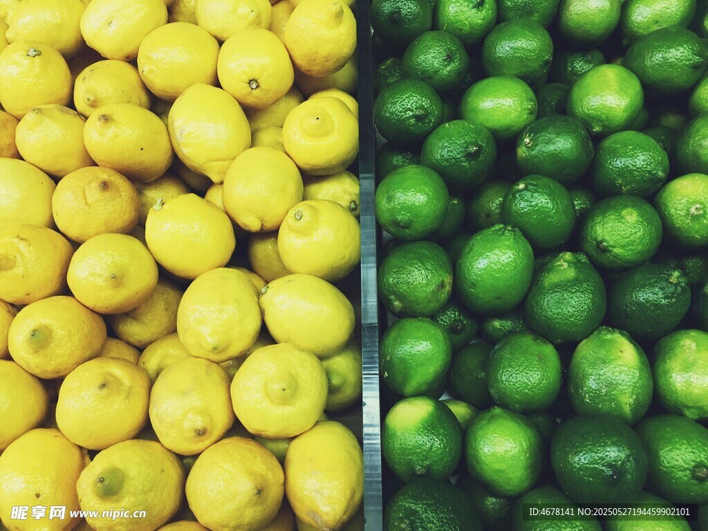 黄柠檬与青柠檬的对比