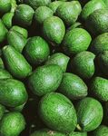 大量新鲜牛油果堆叠