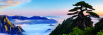 黄山美景  云雾缭绕 青松挺立