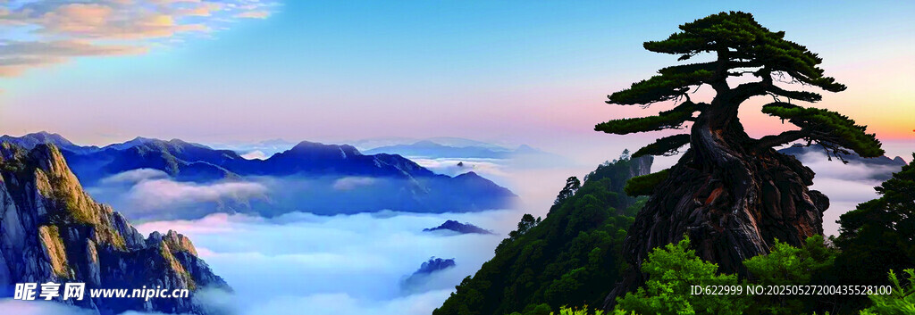 黄山美景  云雾缭绕 青松挺立