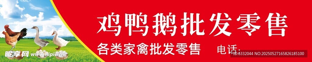 鸡鸭鹅批发零售展板  
