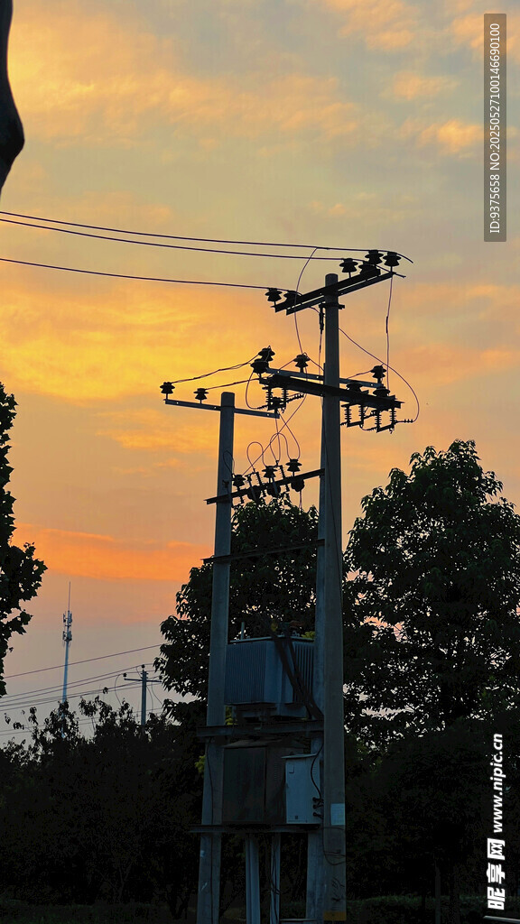 夕阳下的电线杆与树木