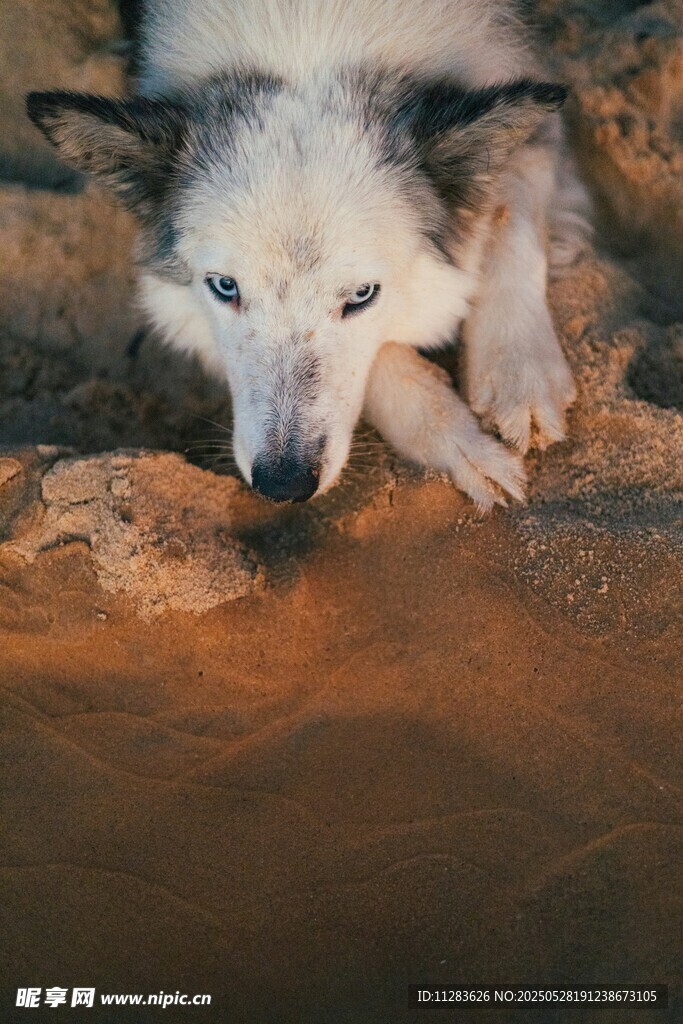 老狼溪边休憩