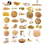 黄豆大豆素材源文件