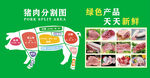 猪肉分割图与生鲜产品展示