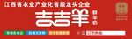 吉吉羊 鲜牛奶 