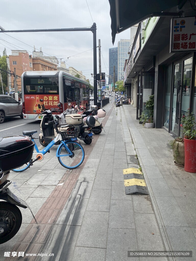 街道边停放的车辆与绿植