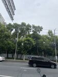 城市街道上行驶的车辆