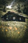 山间小屋隐于花草之间