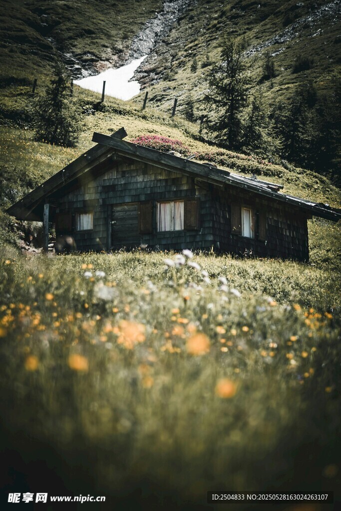 山间小屋隐于花草之间