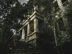 古老神秘的林间建筑遗迹