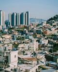城市高楼与低矮建筑景观