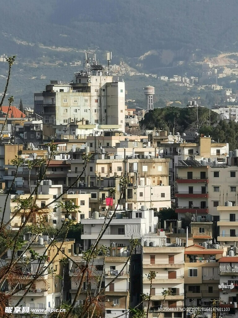 城市景观俯瞰图