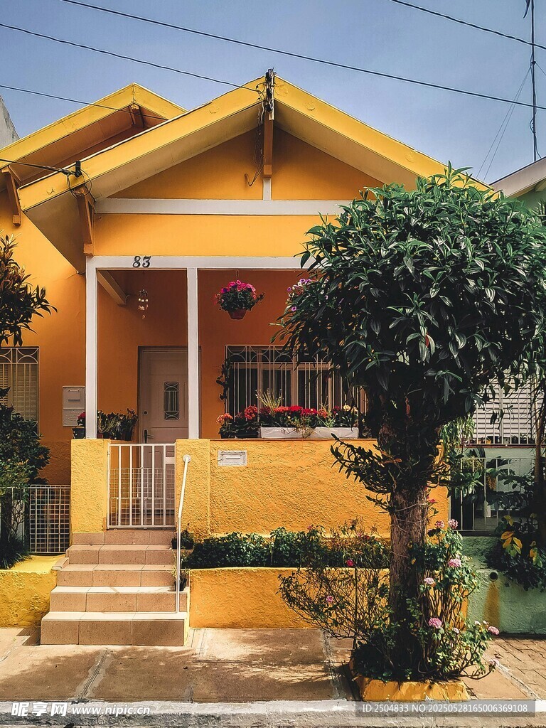 黄色小屋前的绿植景致