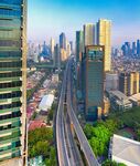 城市高架桥与林立高楼景观