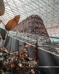 独特建筑旁的植物景观