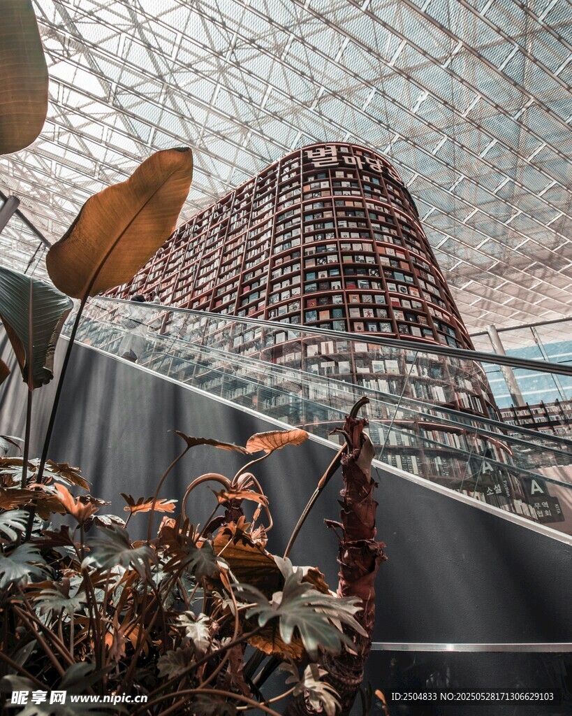 独特建筑旁的植物景观