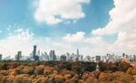 秋日城市天际线景观