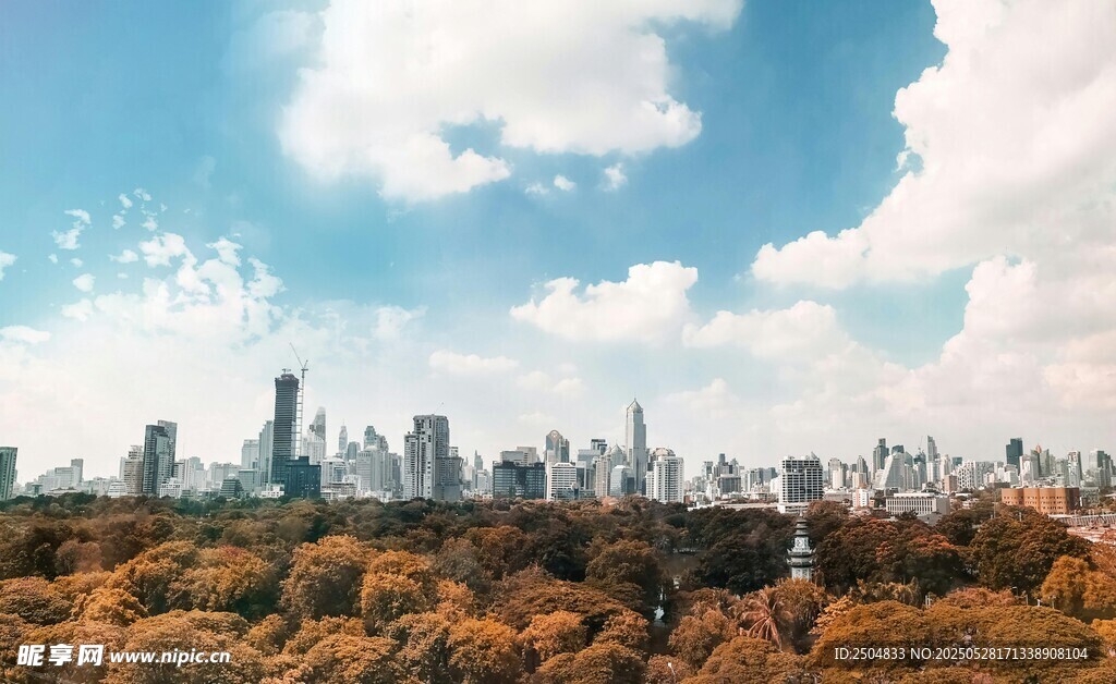 秋日城市天际线景观