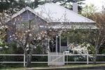 乡村小屋前的春日景致