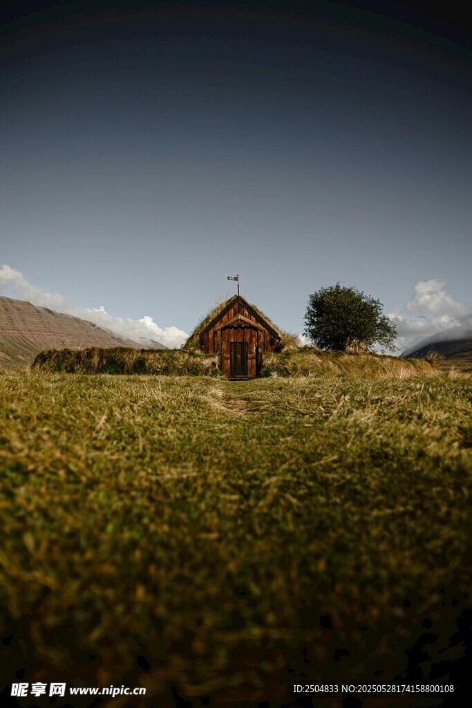 草原上的小屋与绿树