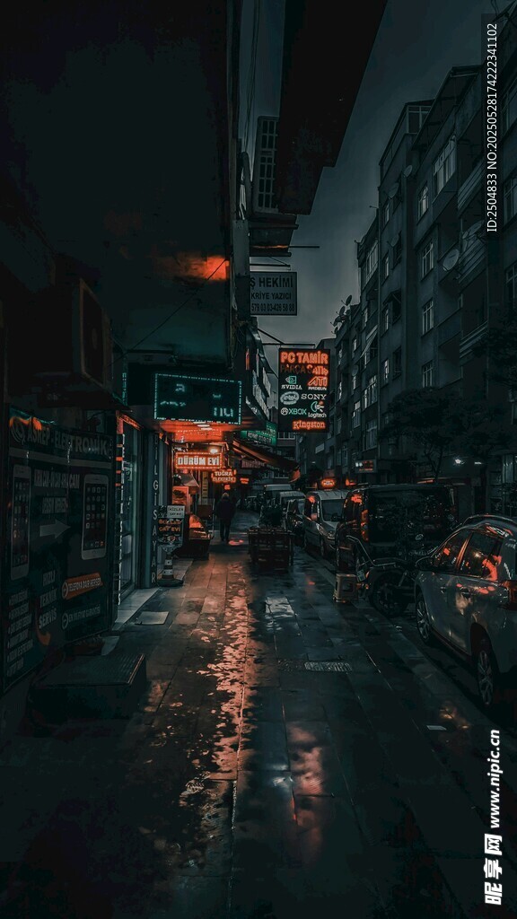 雨夜城市街道的霓虹景象