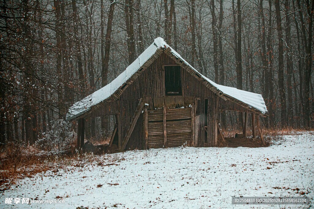 雪覆林间小屋