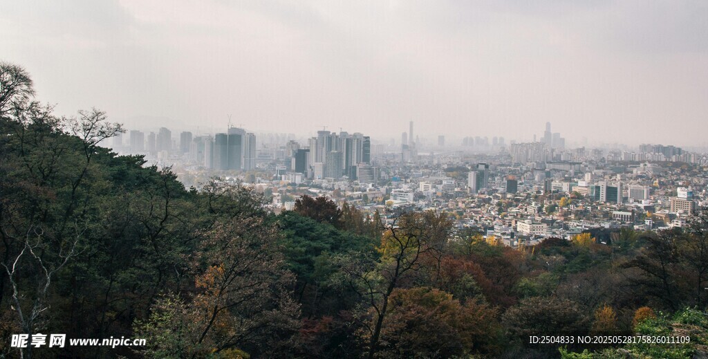 俯瞰城市与山林景观