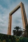 宏伟框架建筑与棕榈树