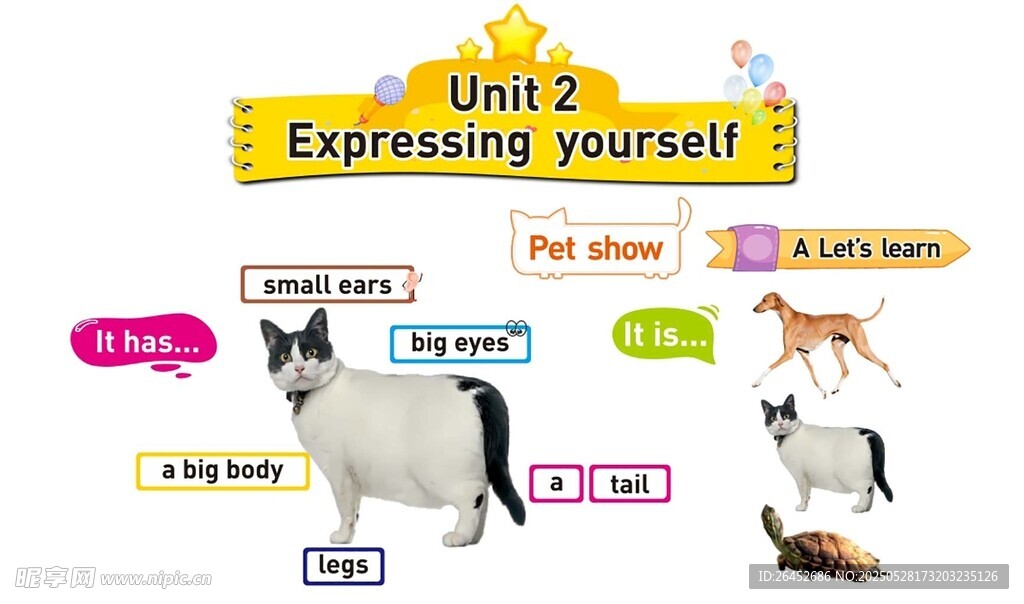 板书 公开课 猫 乌龟 对话框