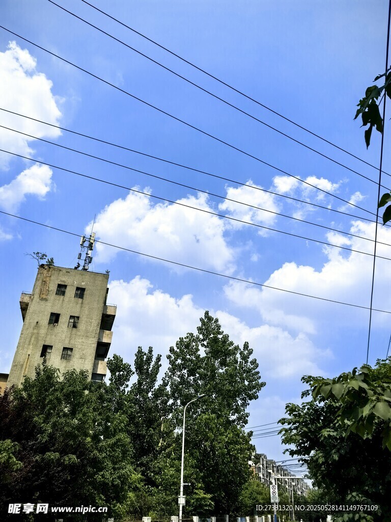 蓝天白云下的建筑与绿树