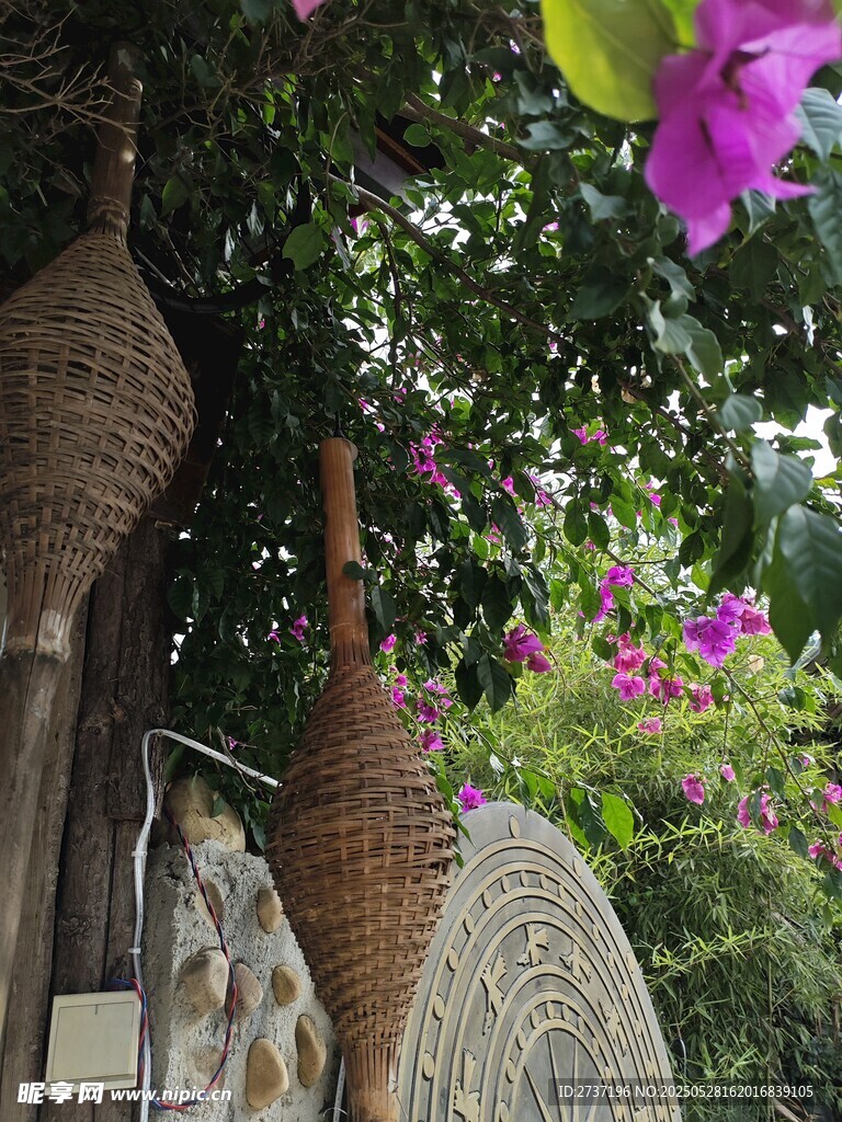 庭院