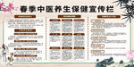 春季中医养生保健宣传栏
