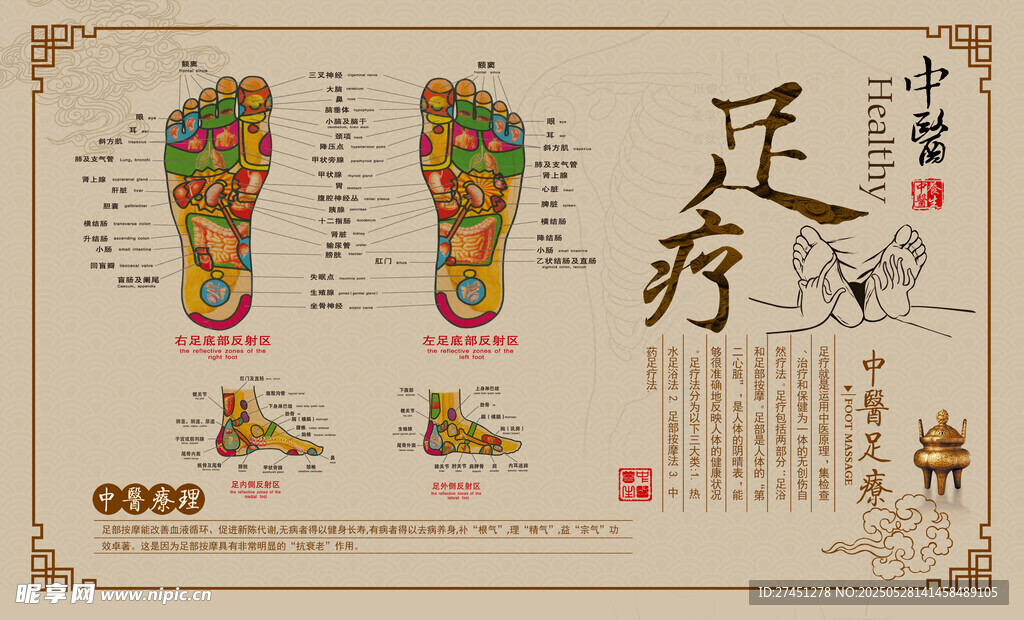中医足底反射区图展示