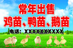 常年出售