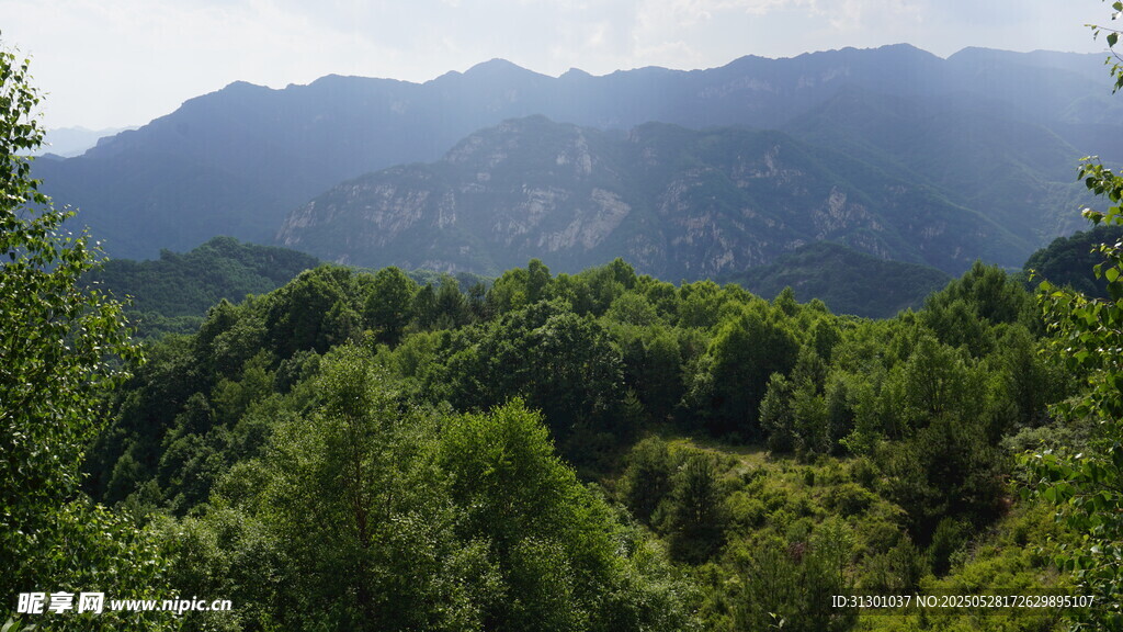 青山绿野间的秀丽山景