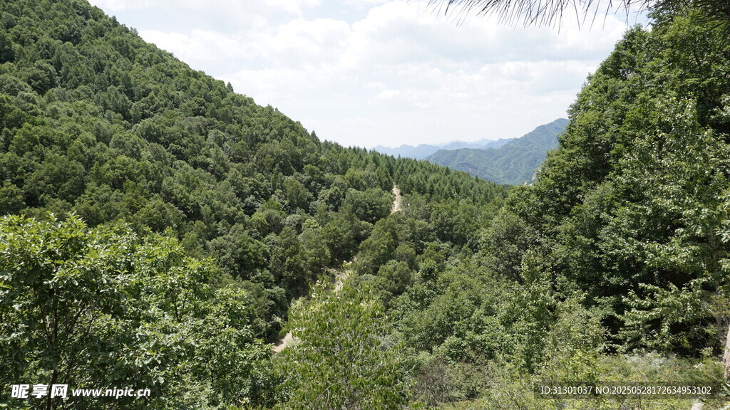 青山翠谷间的自然美景