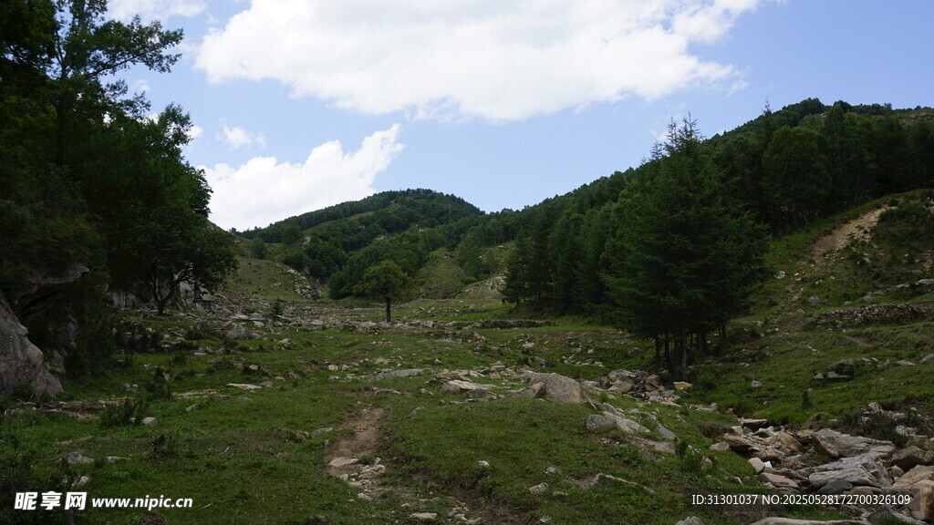 山间绿野小径风景
