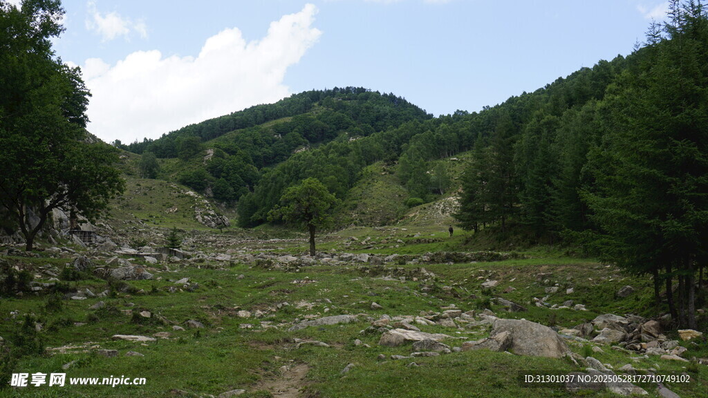 山间绿野风景