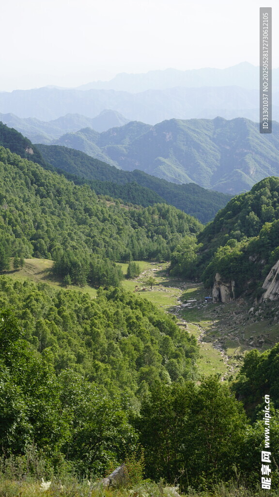 青山绿野间的秀丽山谷