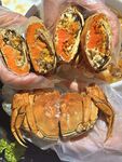 大闸蟹