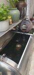 庭院中式水景潺潺流水