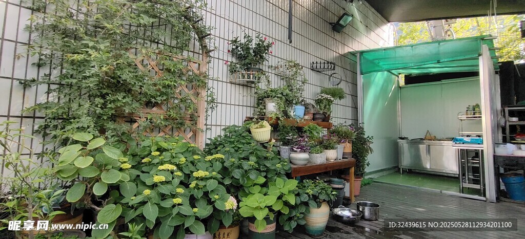 室内绿植一角