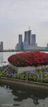 城市河畔多彩花卉景观