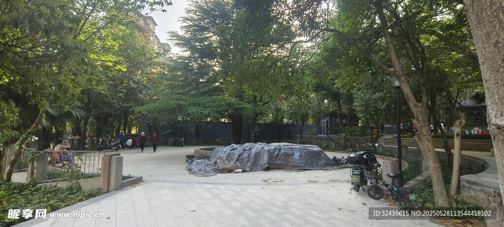 林间停车处的静谧景致