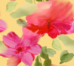 手绘花
