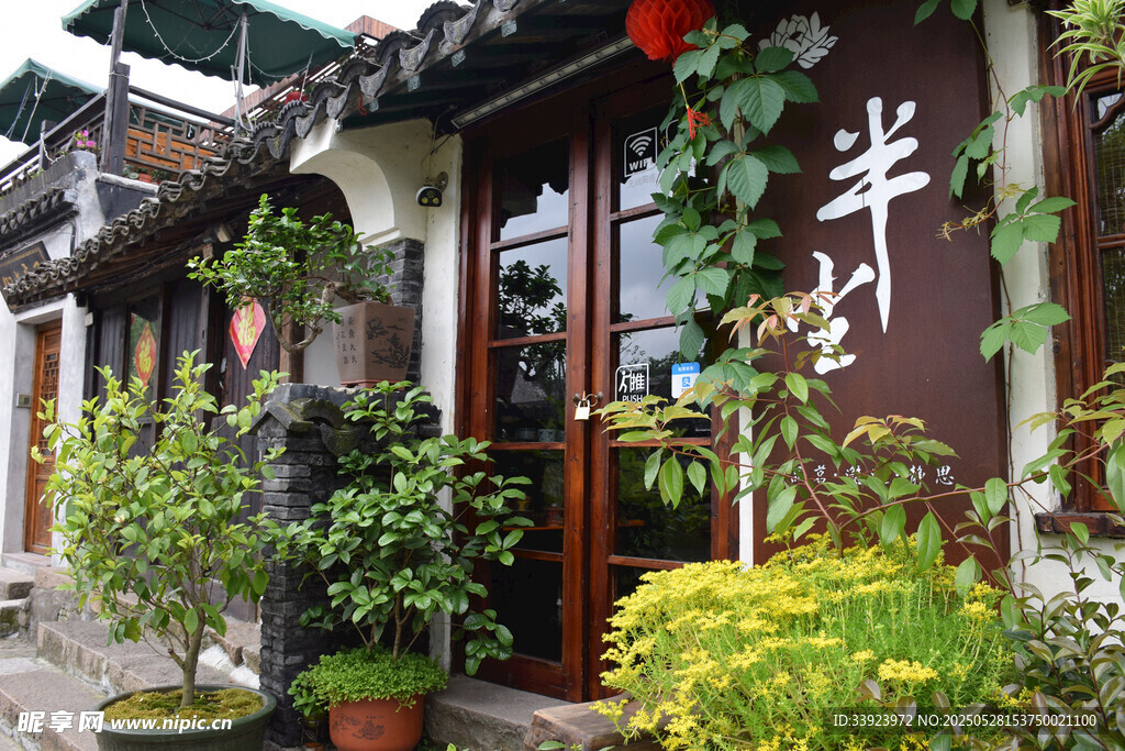 古雅庭院绿植装点景致