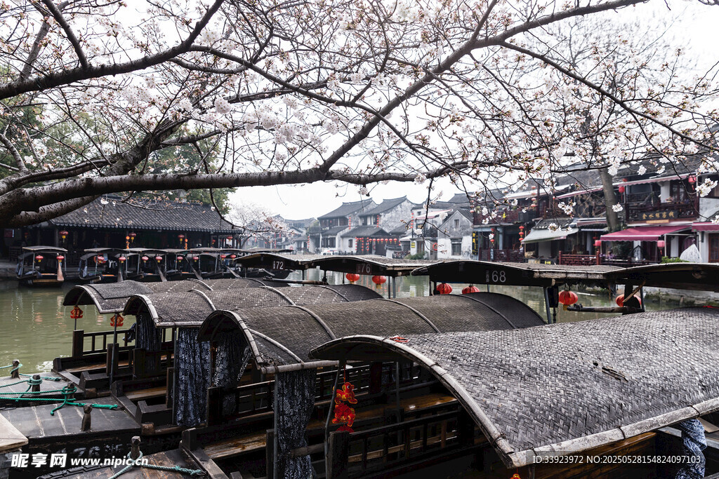 江南水乡乌篷船景致